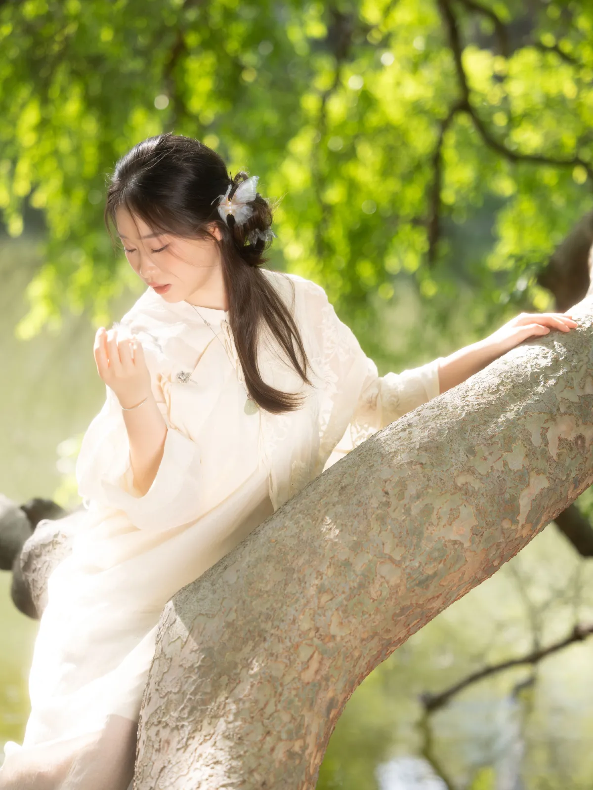 丛林精灵