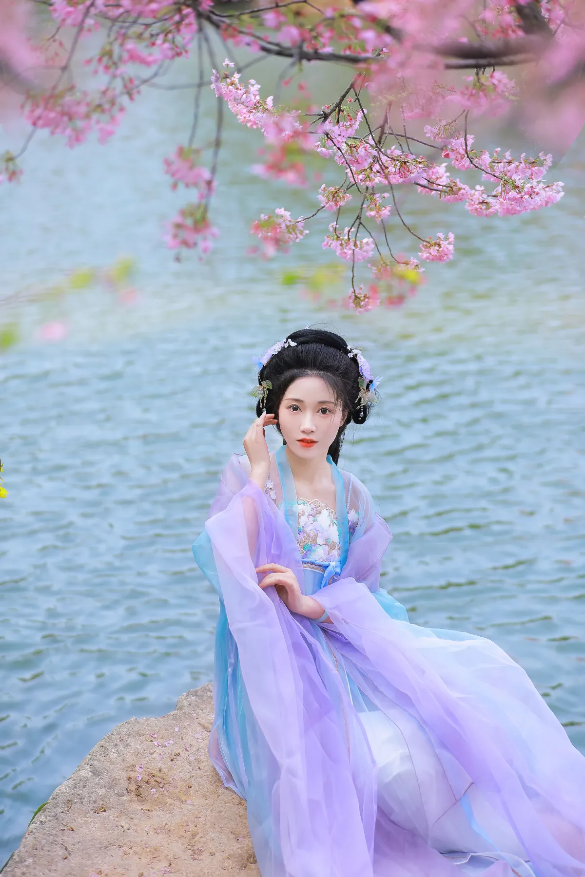 樱花1