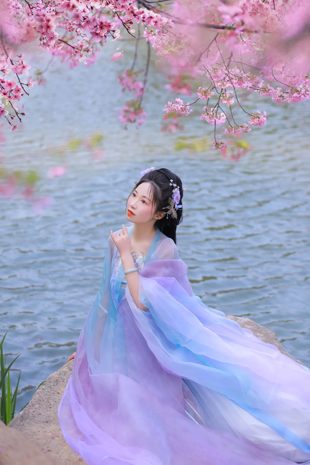 樱花2