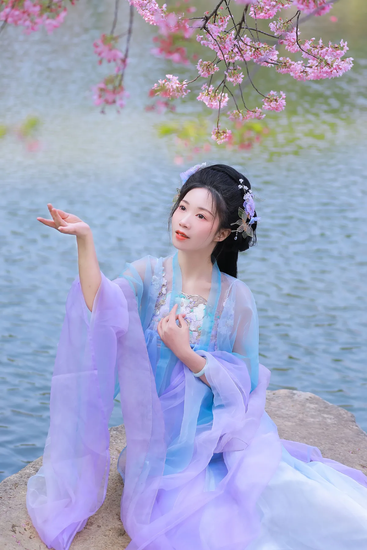 樱花3