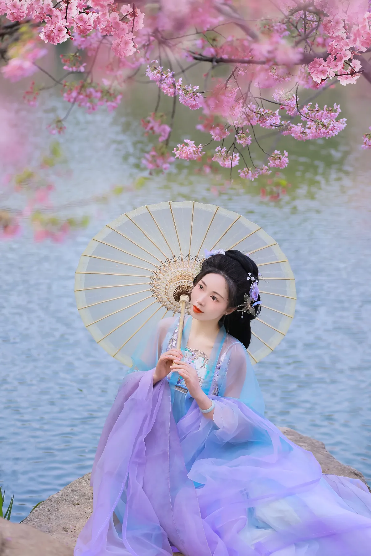 樱花4