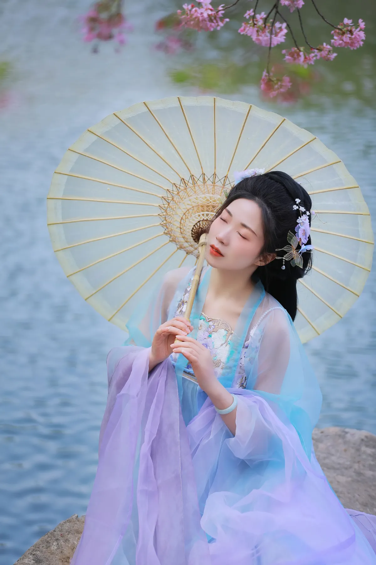 樱花5