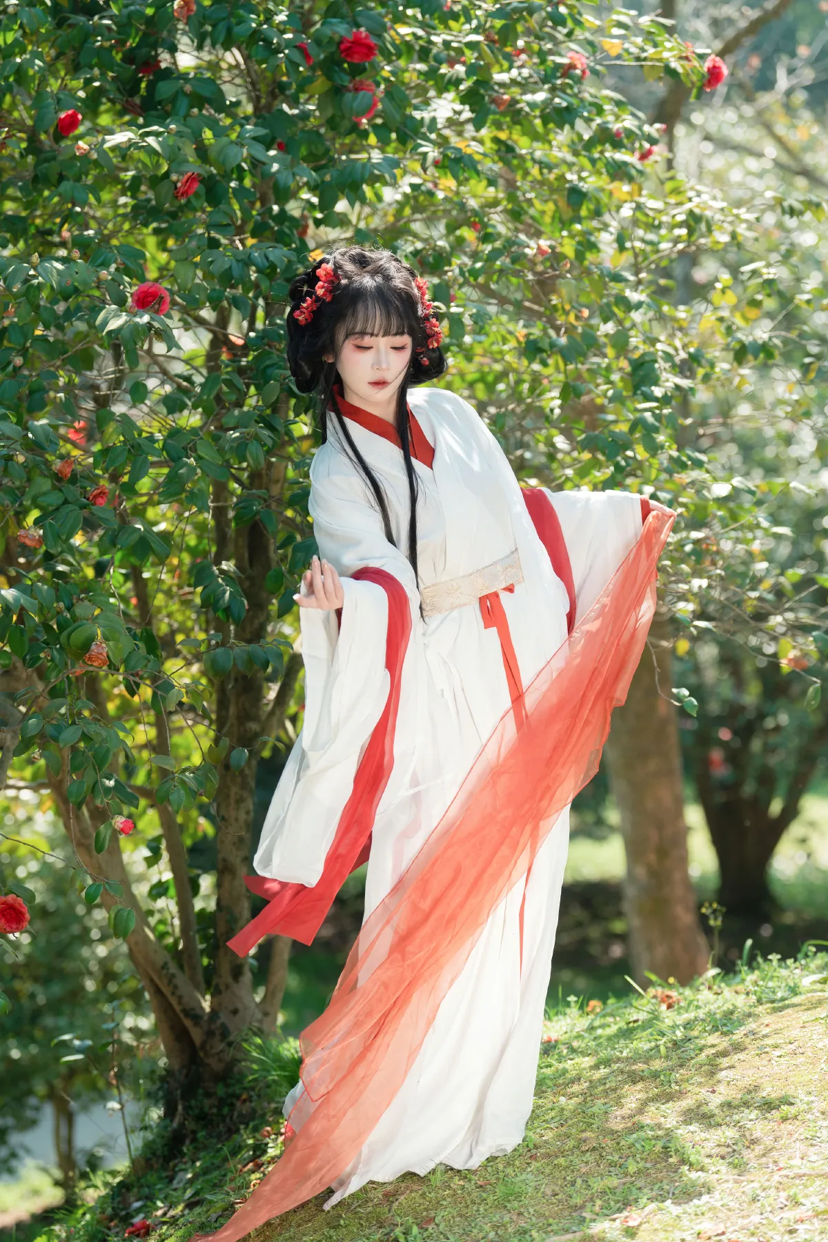 邂逅山茶花1