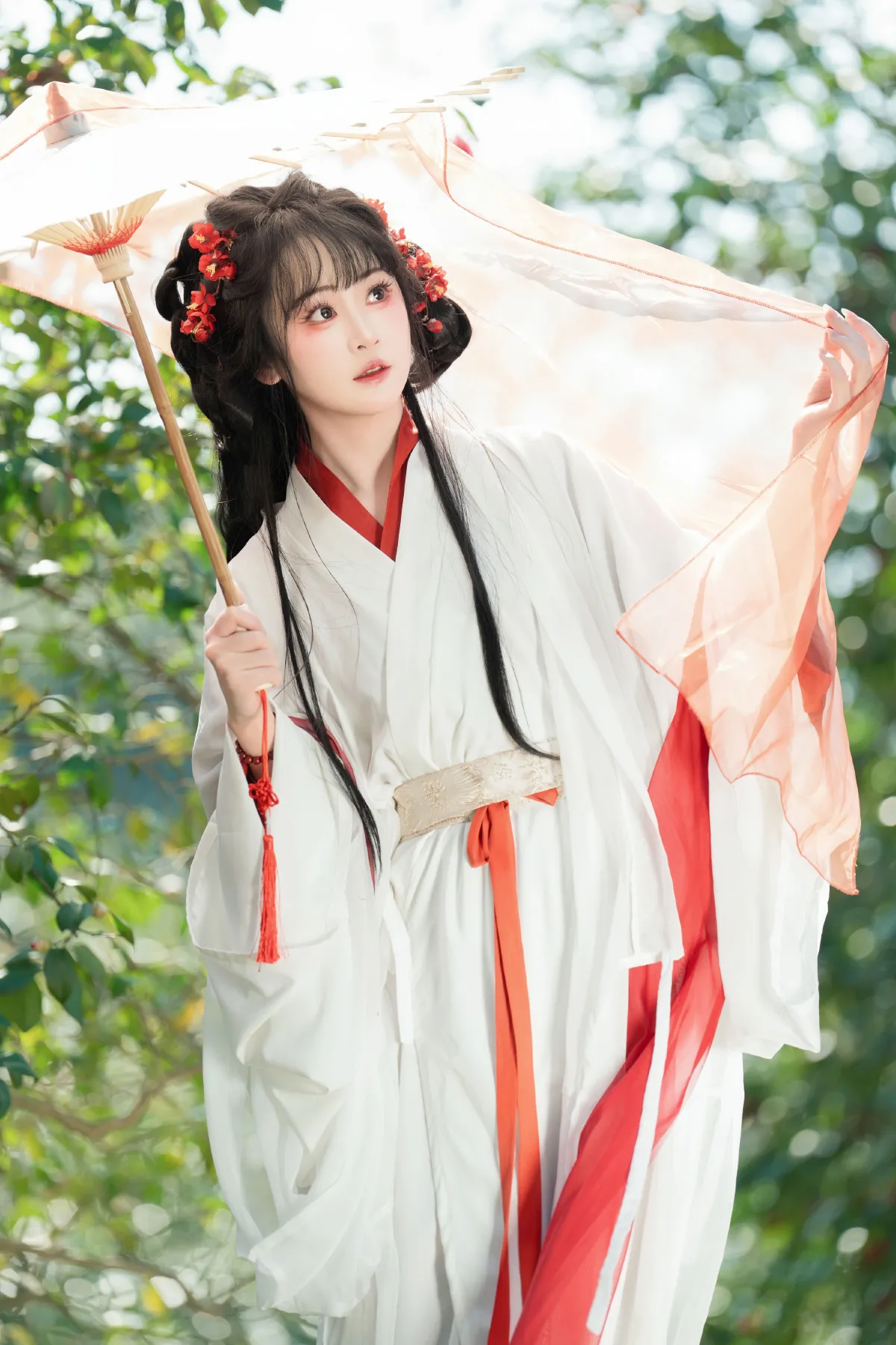 邂逅山茶花2