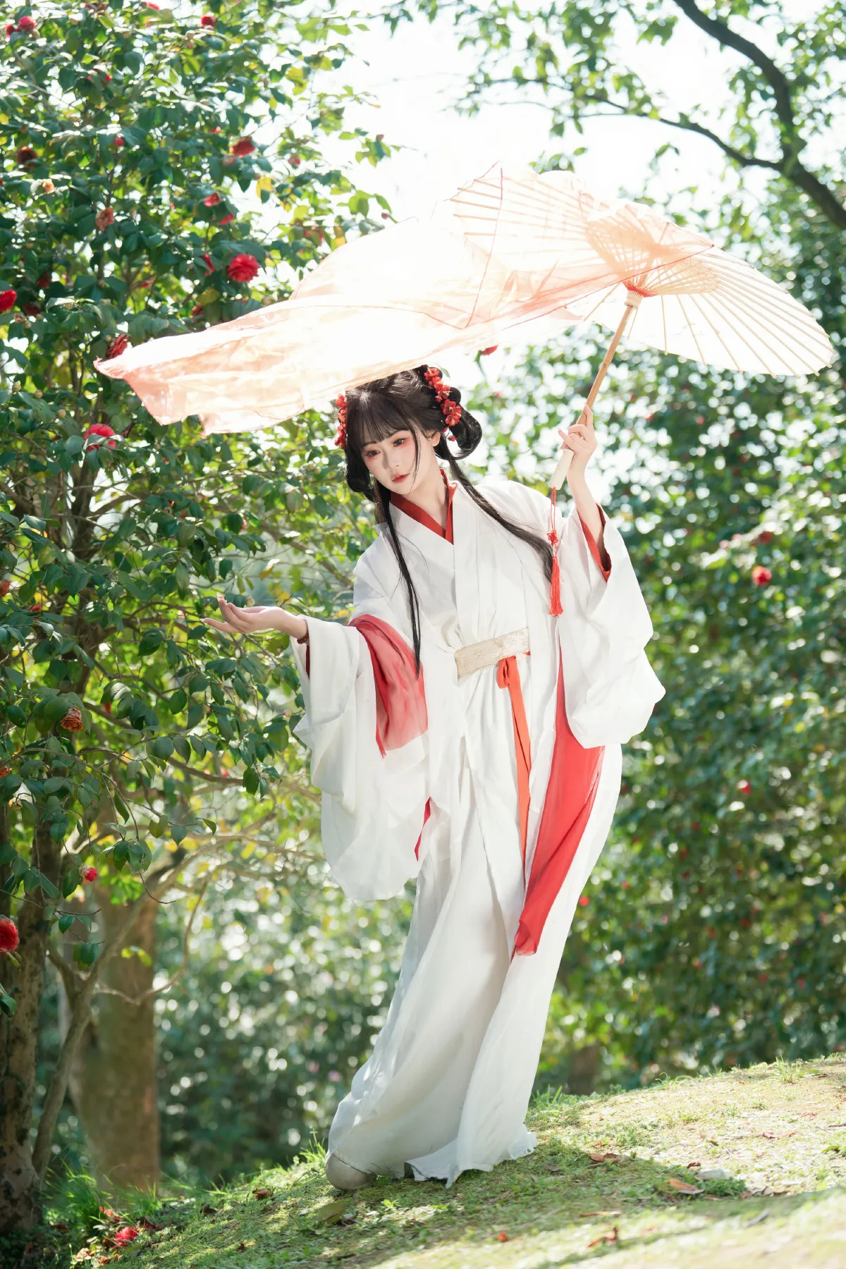 邂逅山茶花3