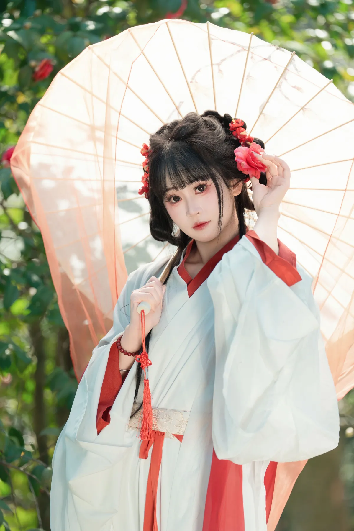 邂逅山茶花5