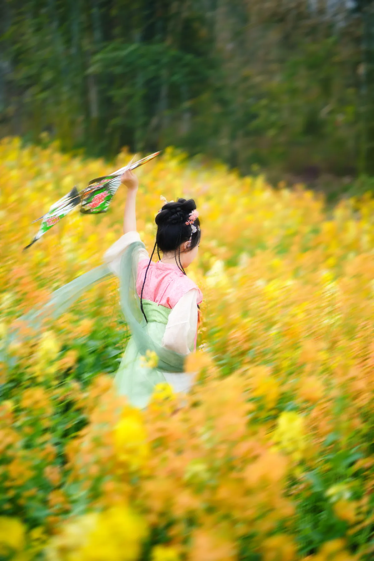 油菜