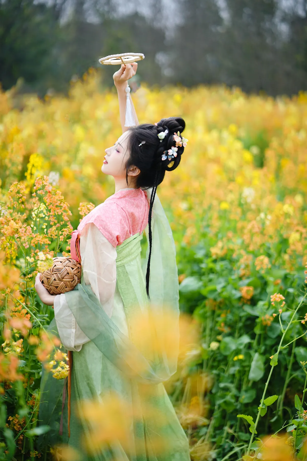 油菜