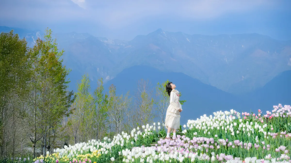 鲜花人间