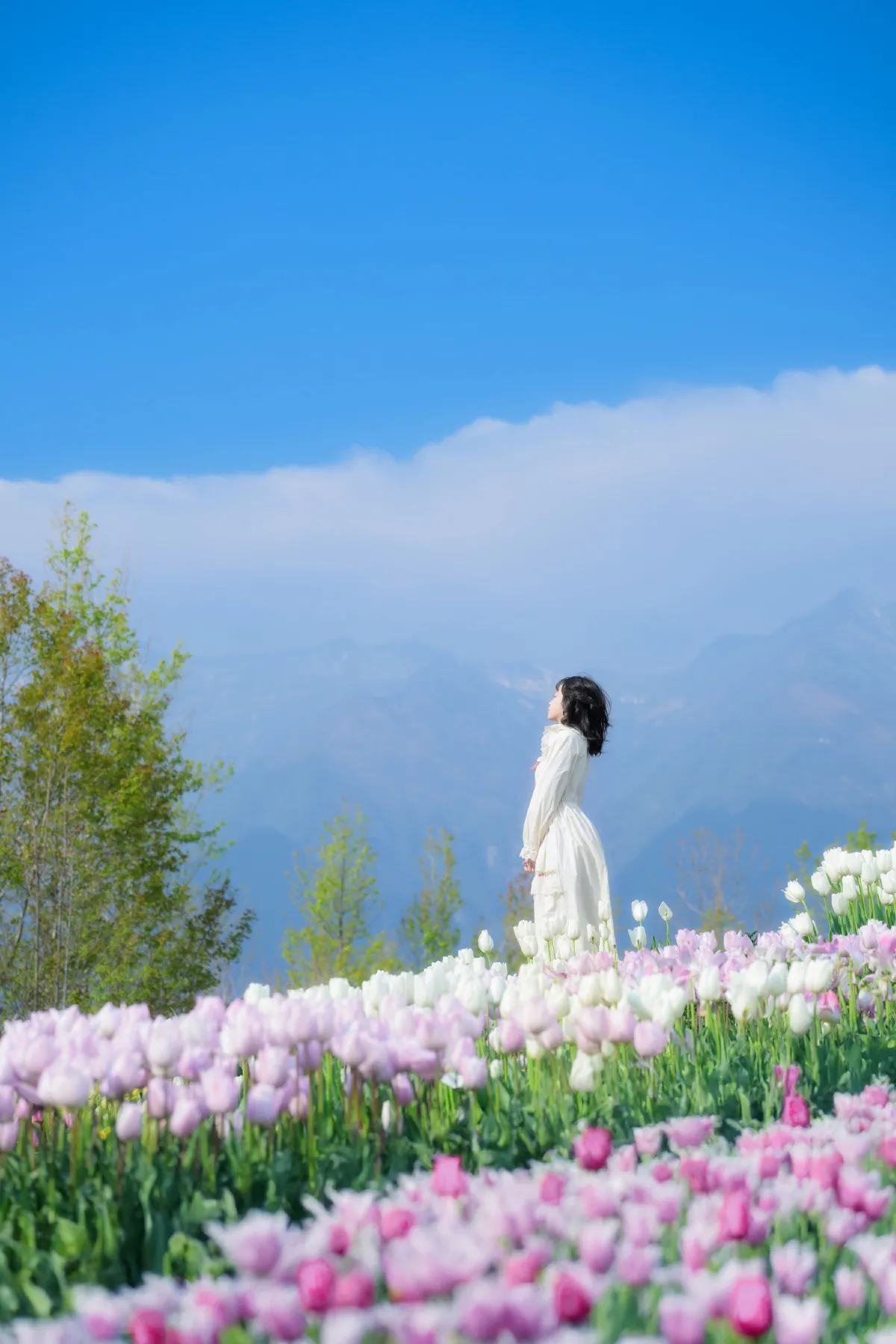 鲜花人间