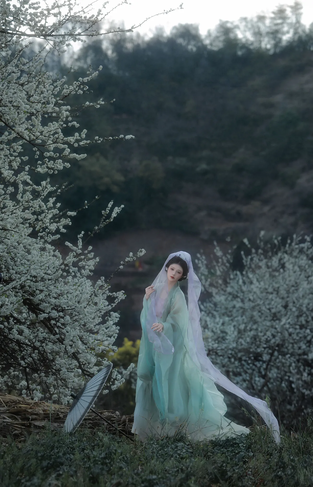 春山如黛草如烟