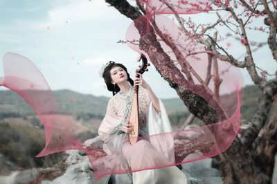 桃花醉