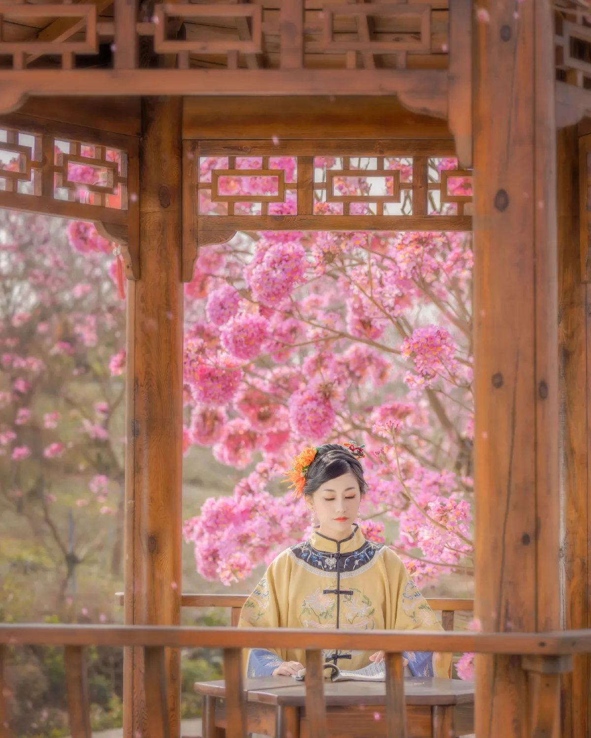 风铃晚
