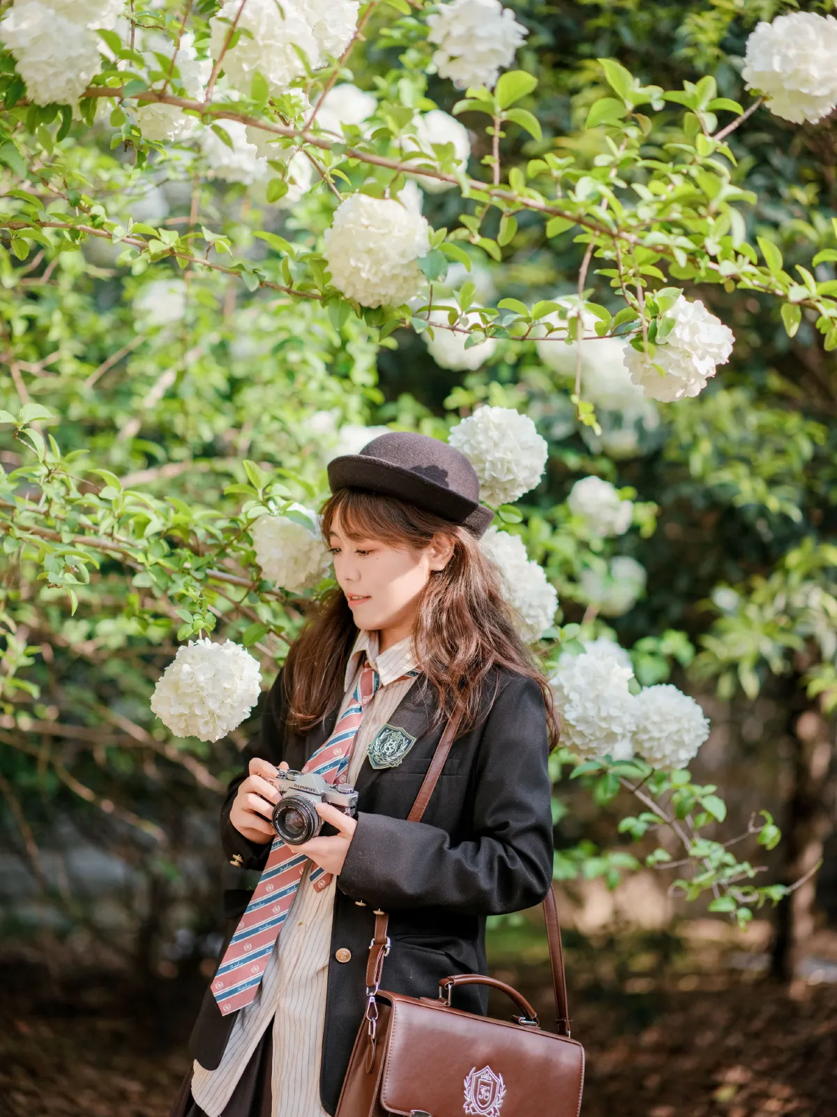 静待花开1