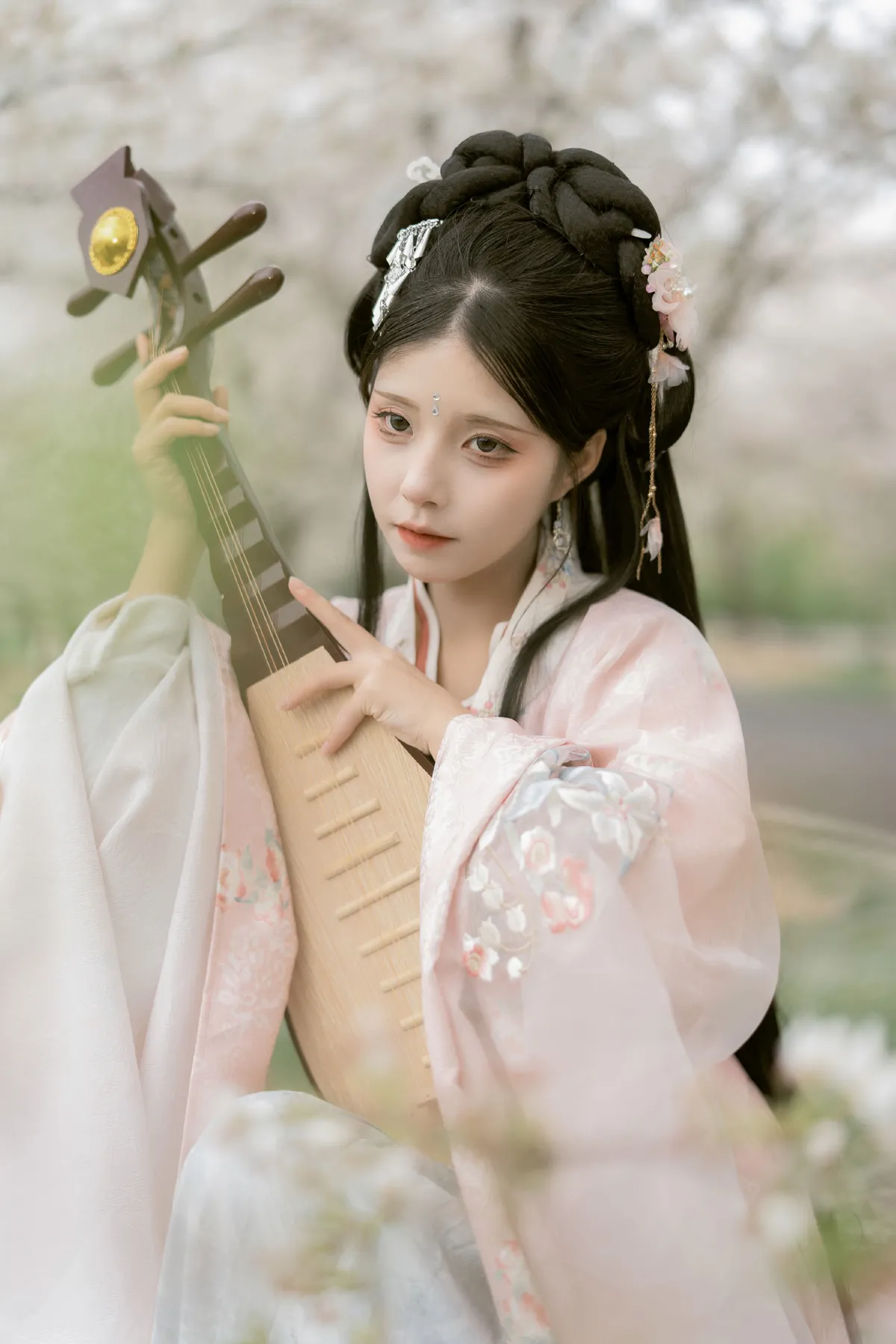 樱花林 琵琶情