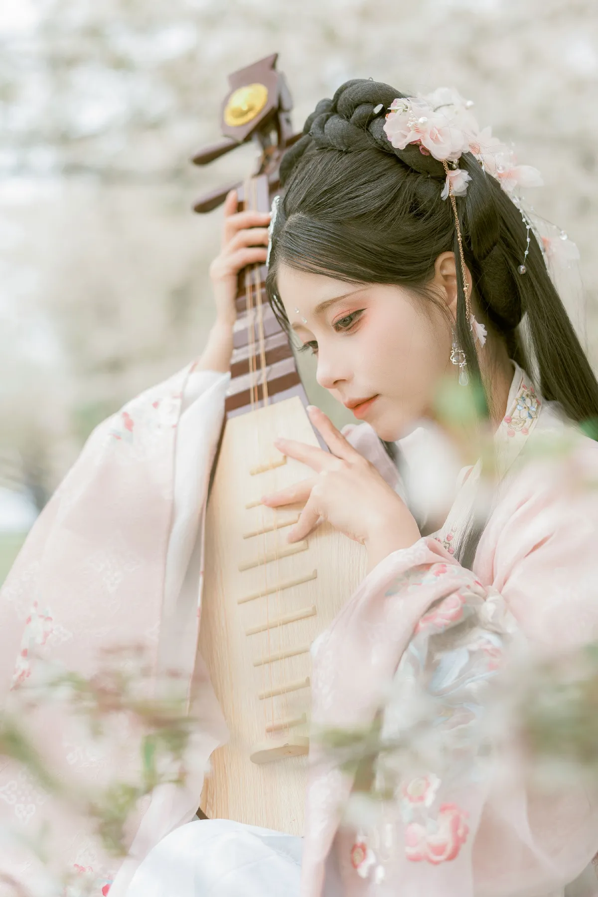 樱花林 琵琶情