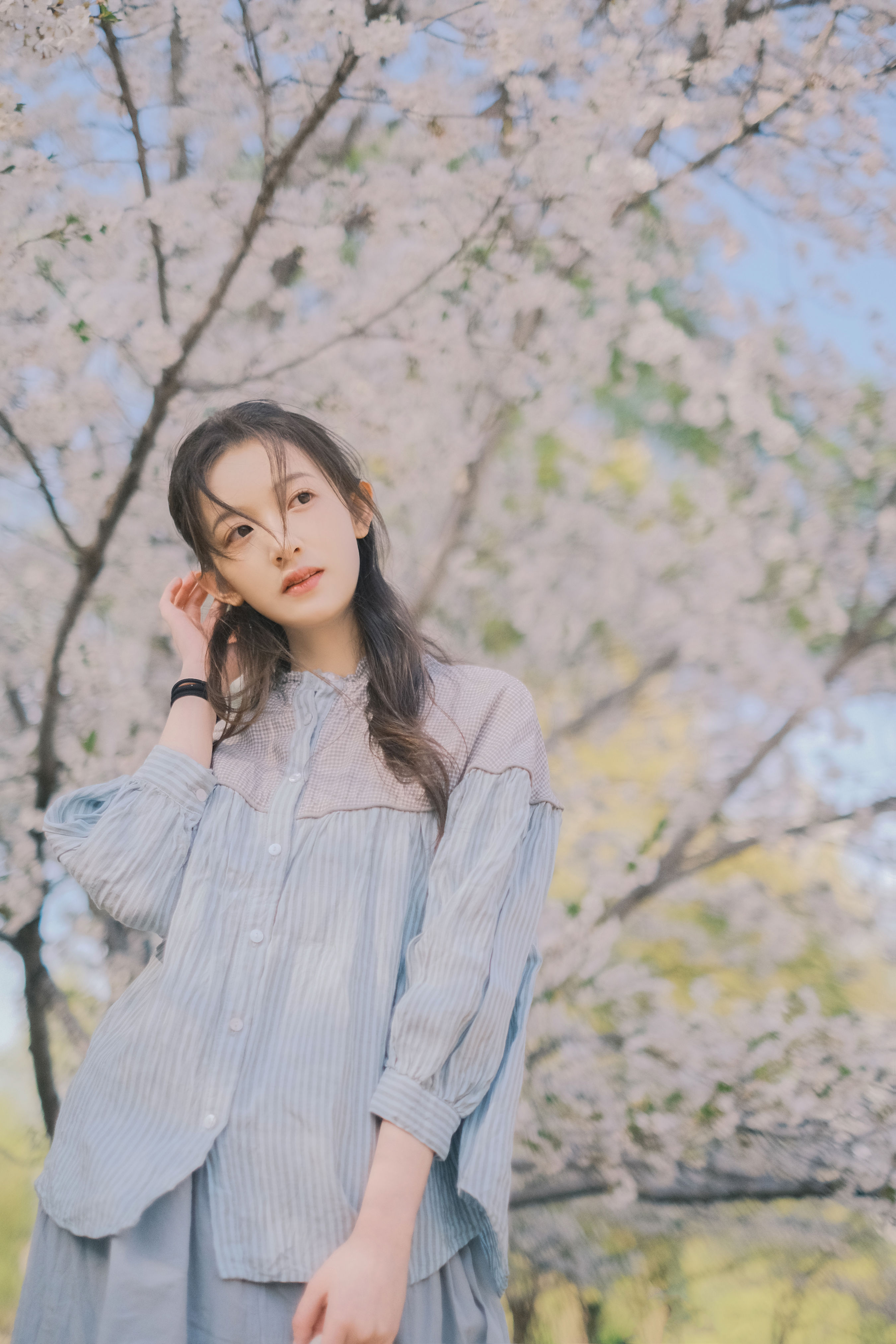 春日信1