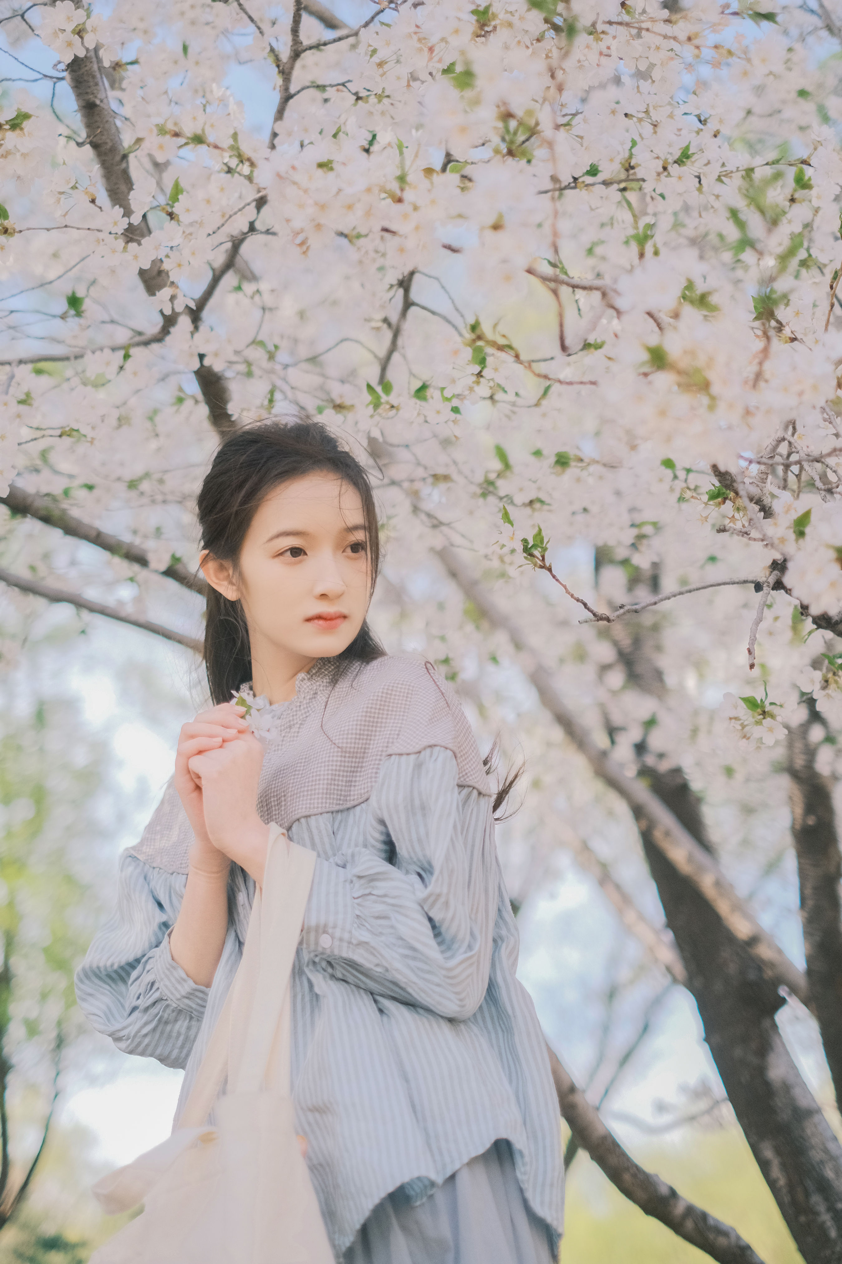 Sa娇少女写真馆_彤《春日信》美图作品图片2
