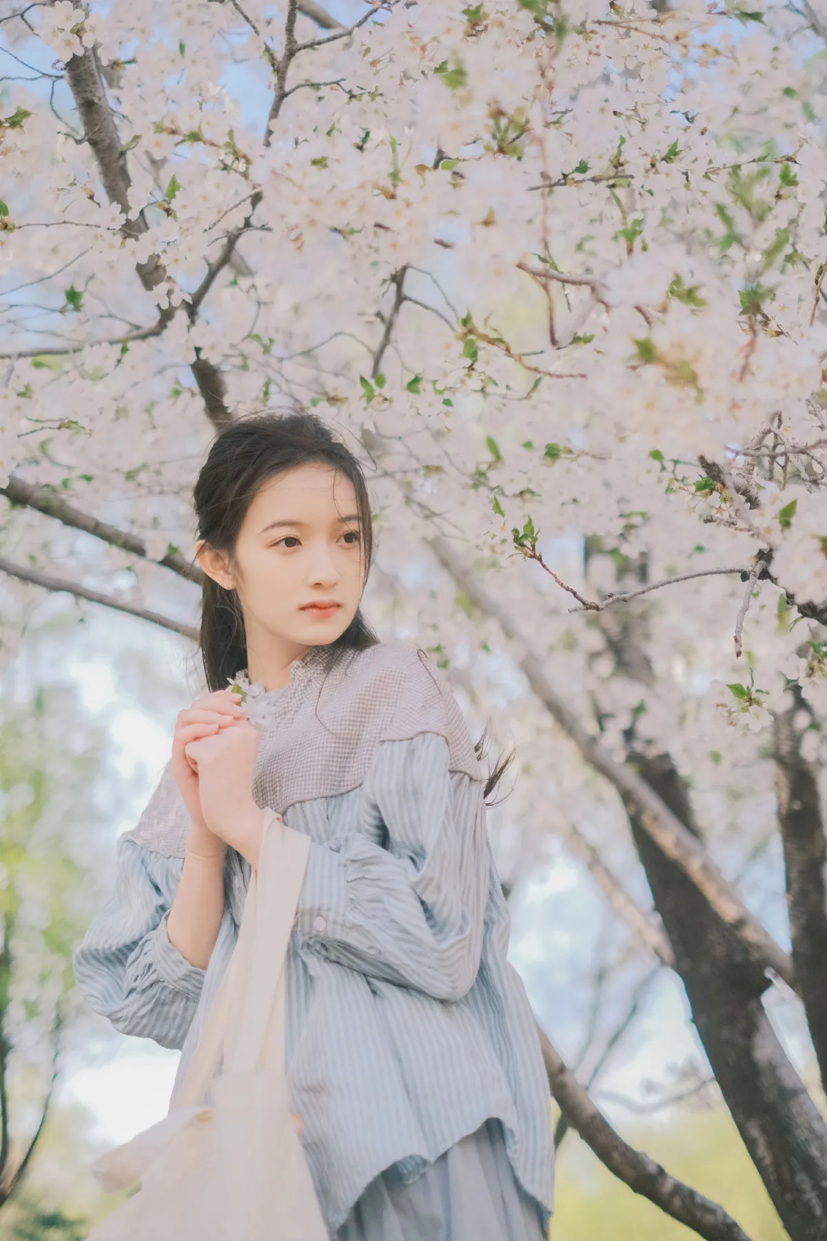 春日信