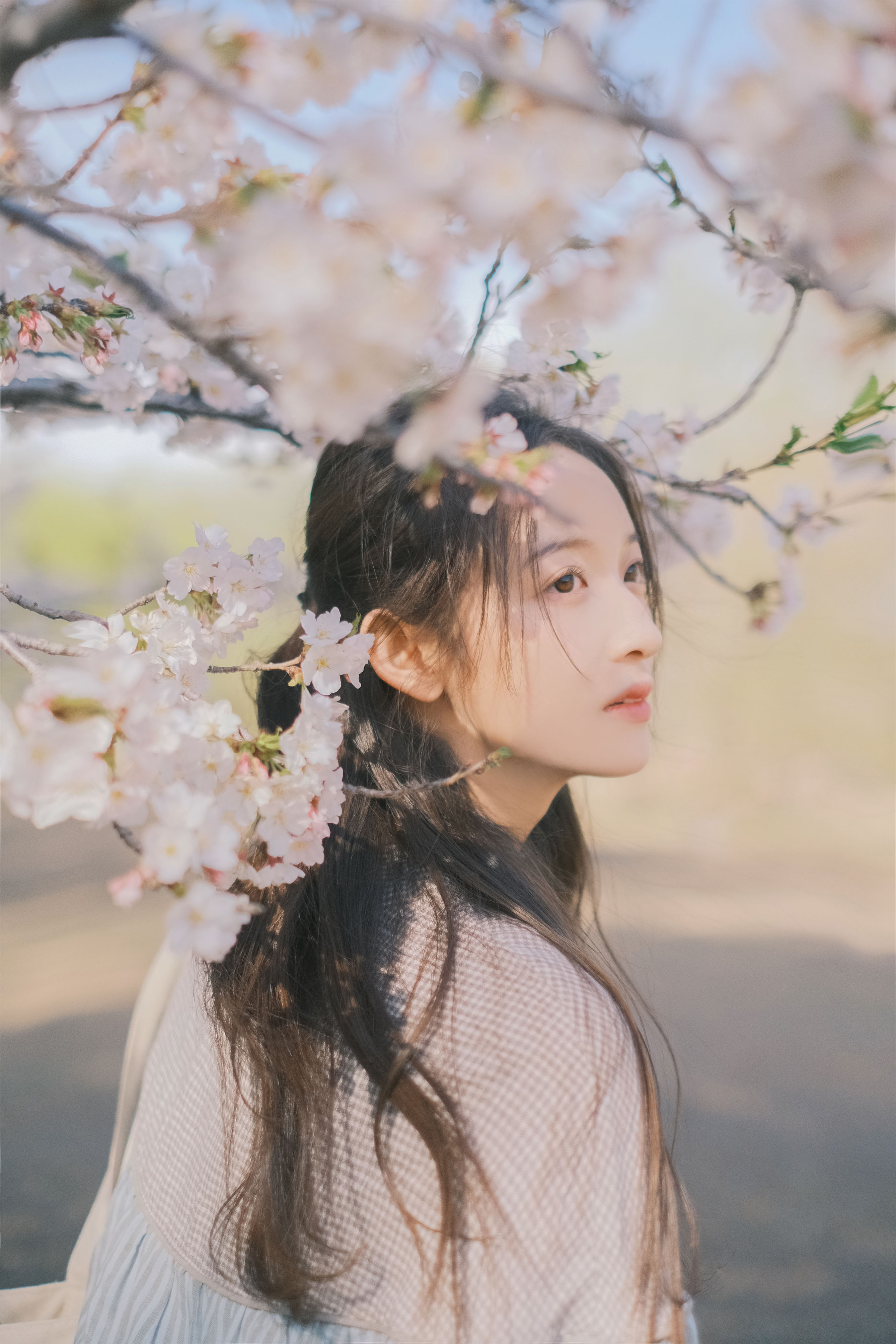 Sa娇少女写真馆_彤《春日信》美图作品图片4