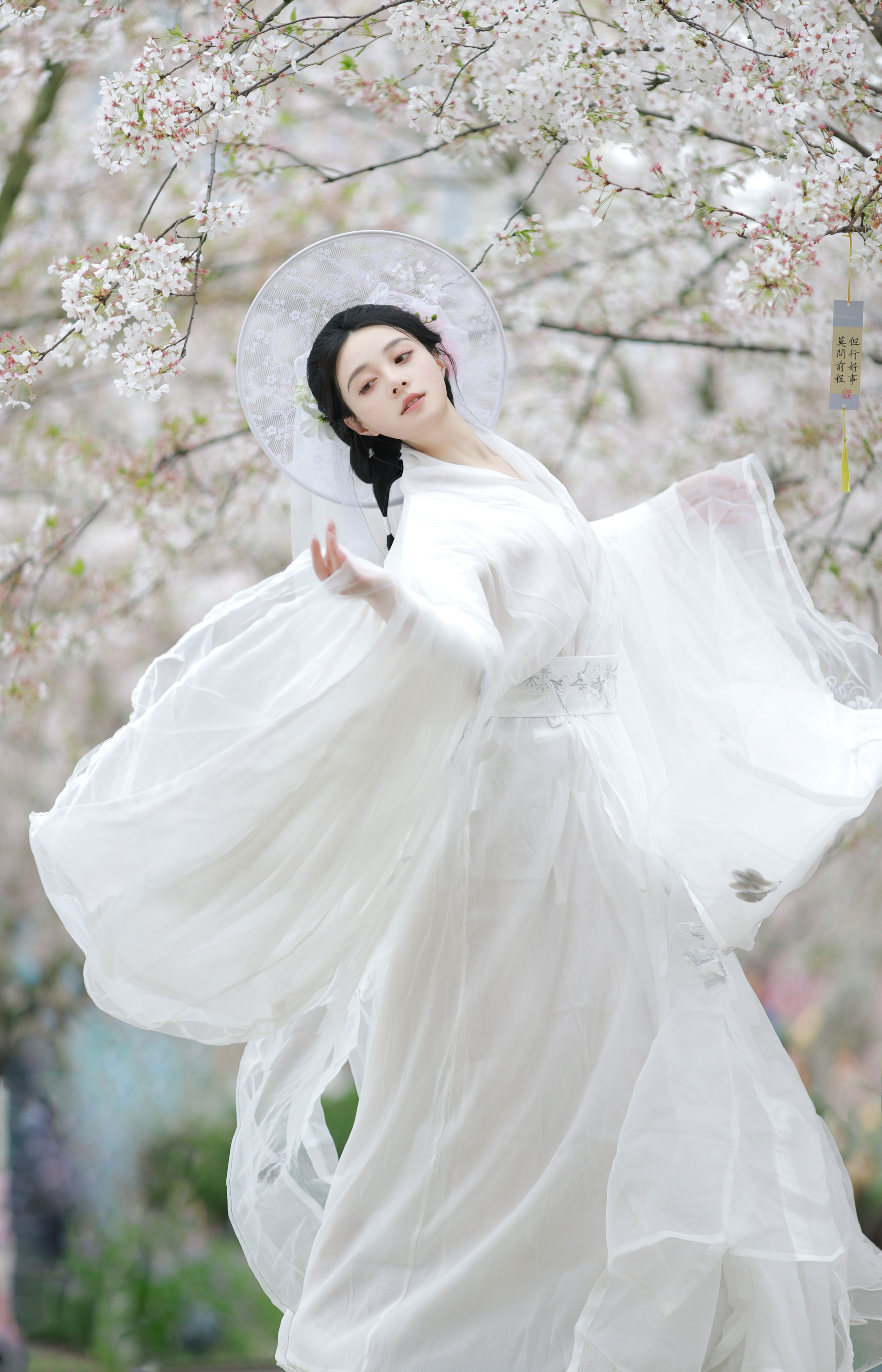 万物清明