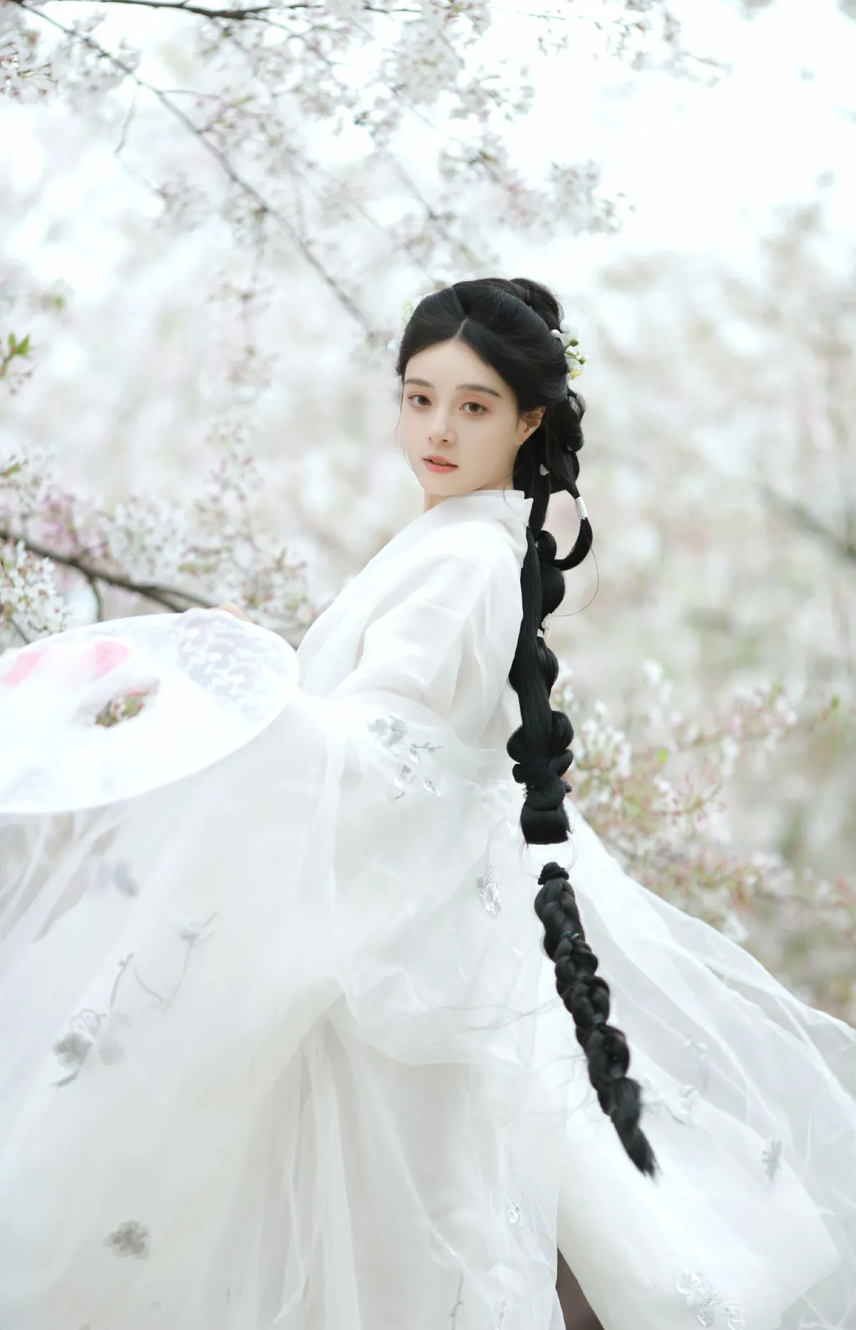 万物清明