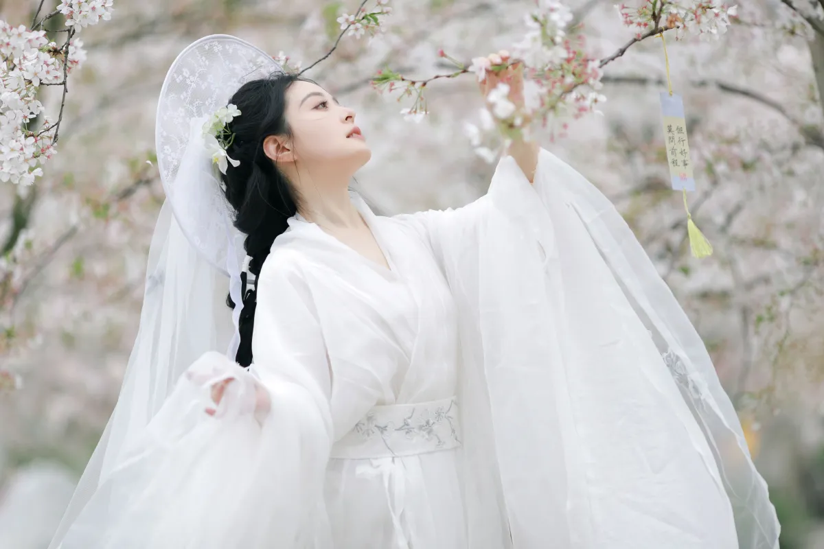 万物清明