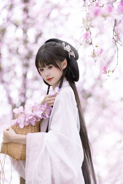 江畔寻花