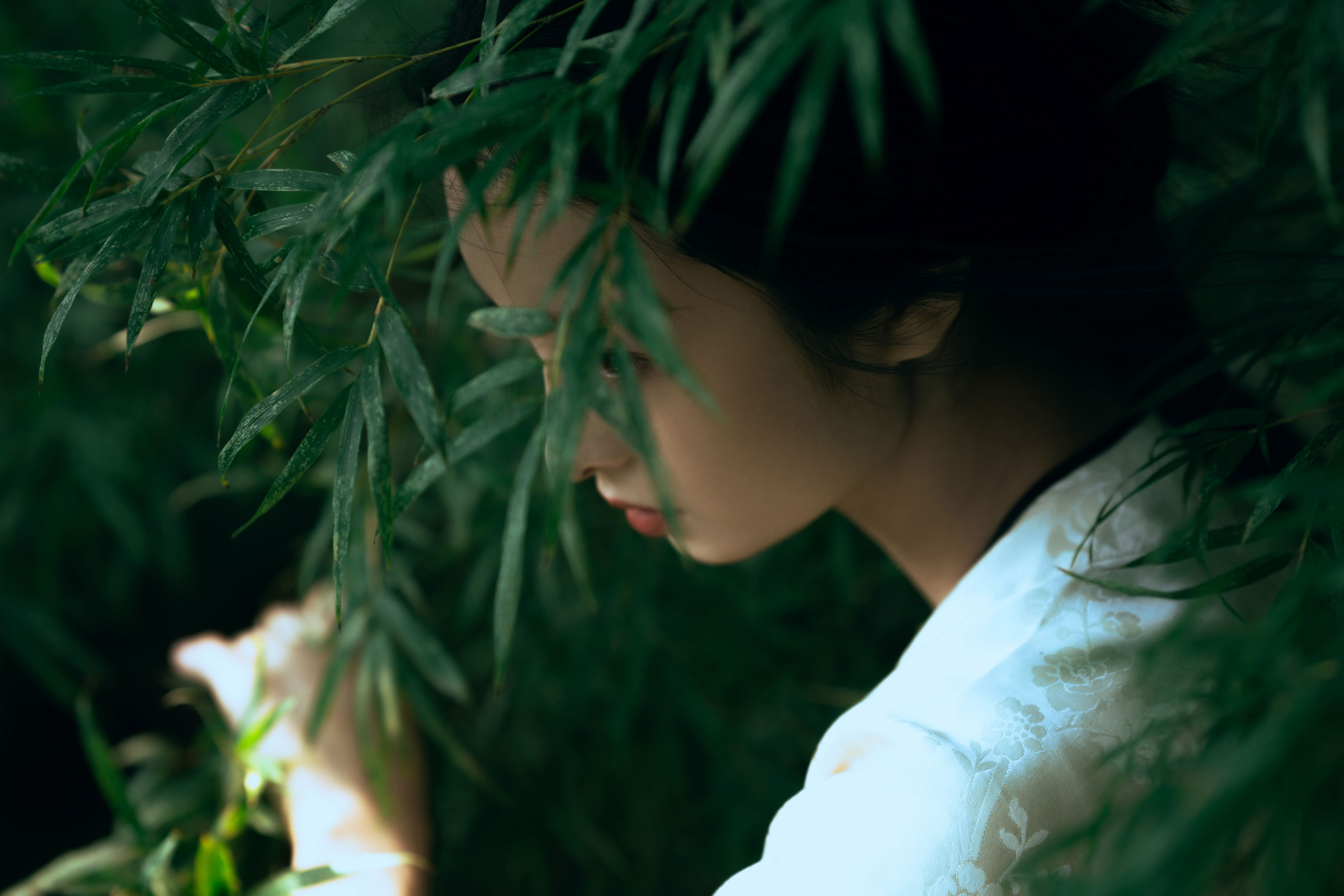 卧虎藏龙