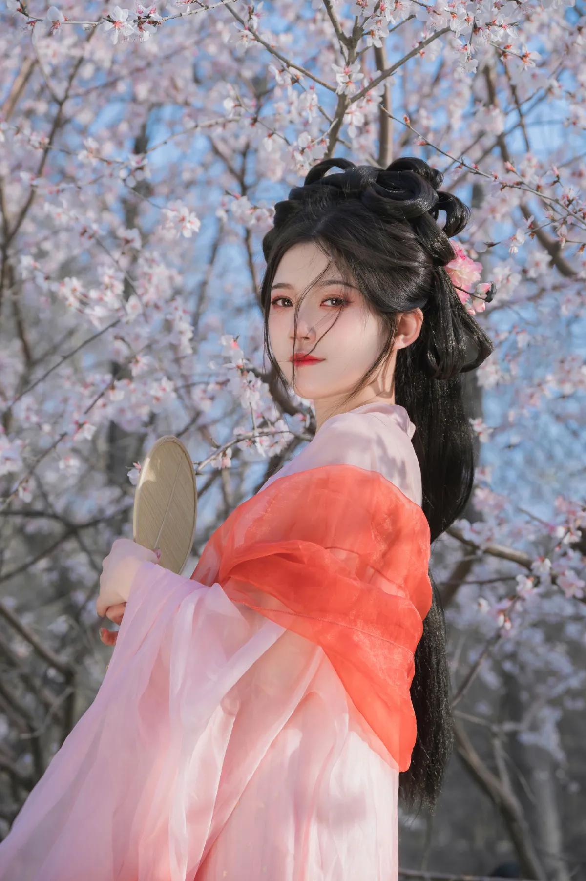 桃花夭夭