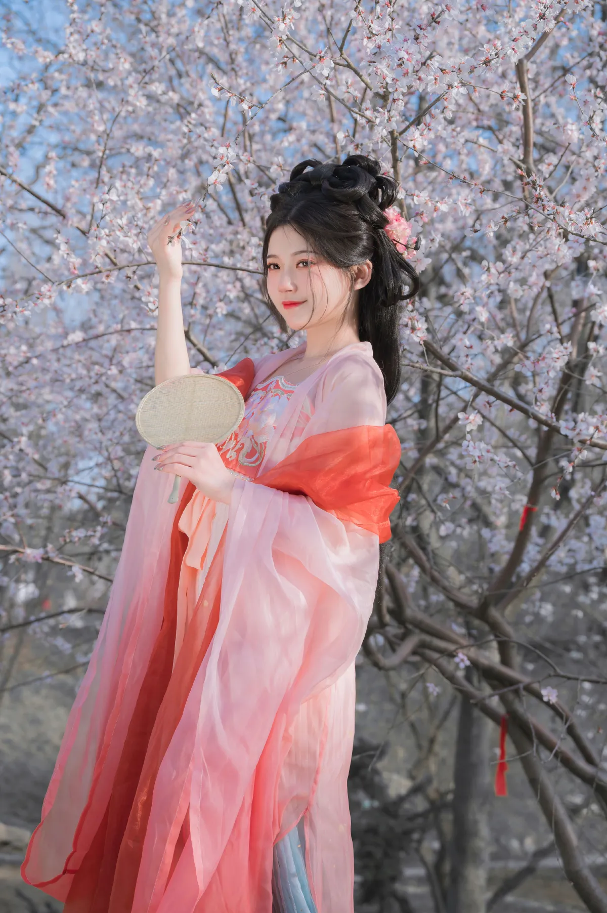 桃花夭夭
