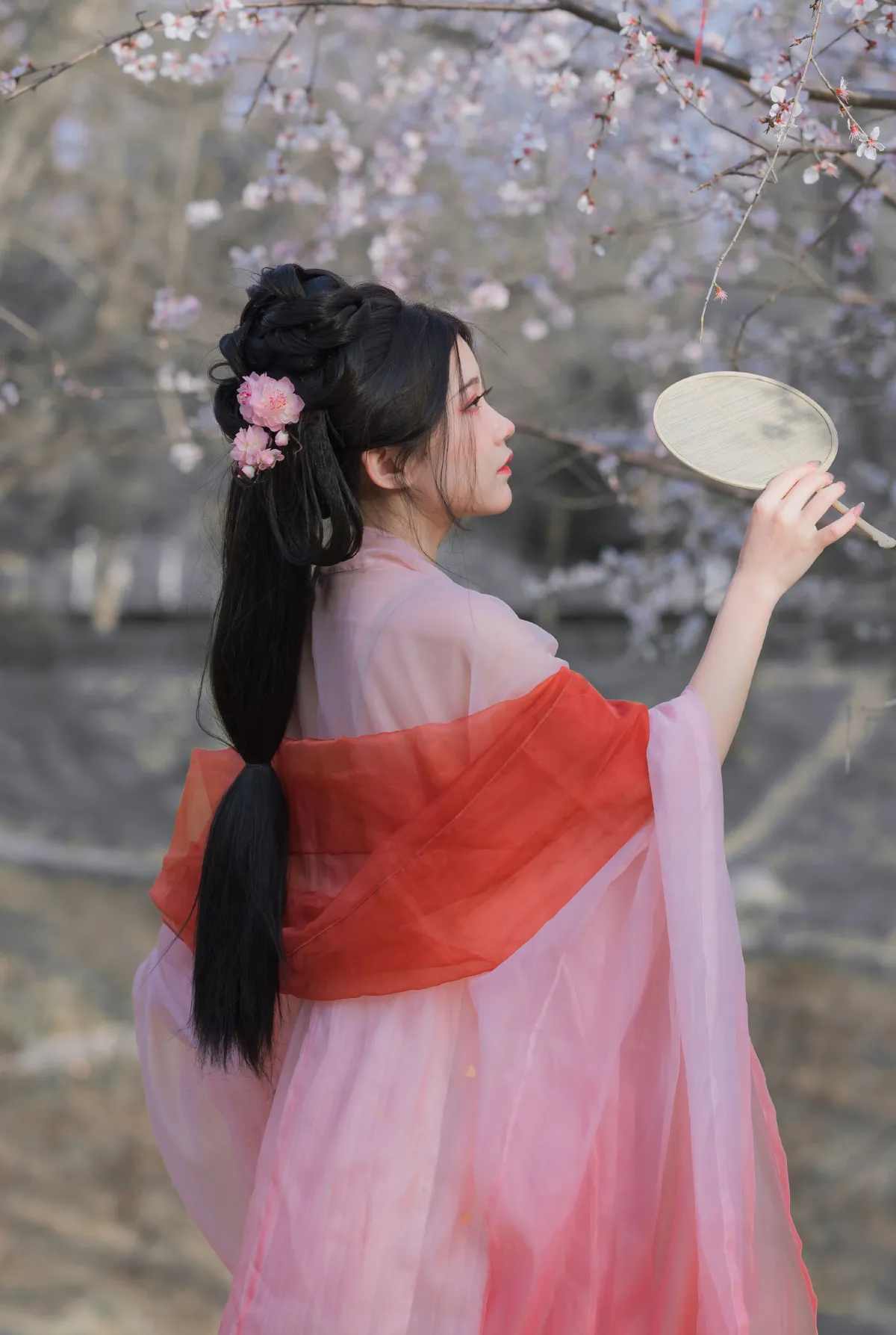 桃花夭夭