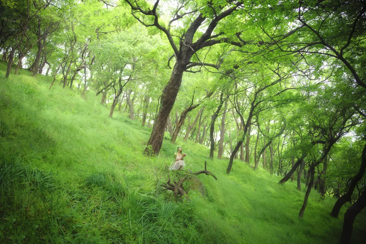 万物生长