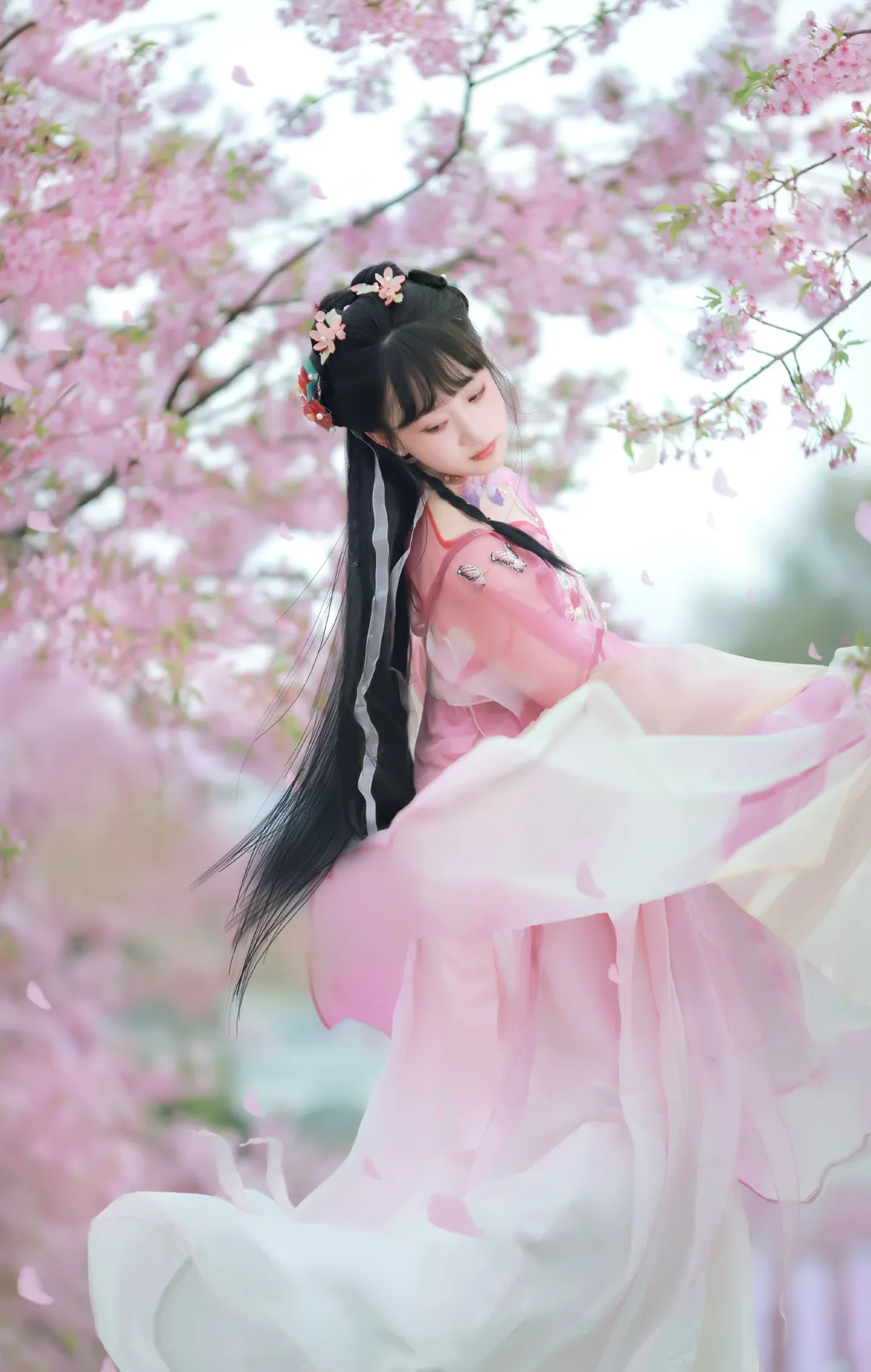落樱