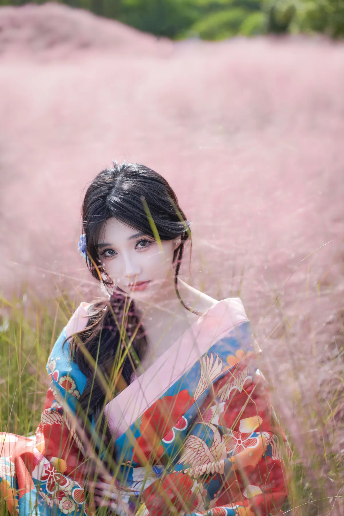 炫紫青春