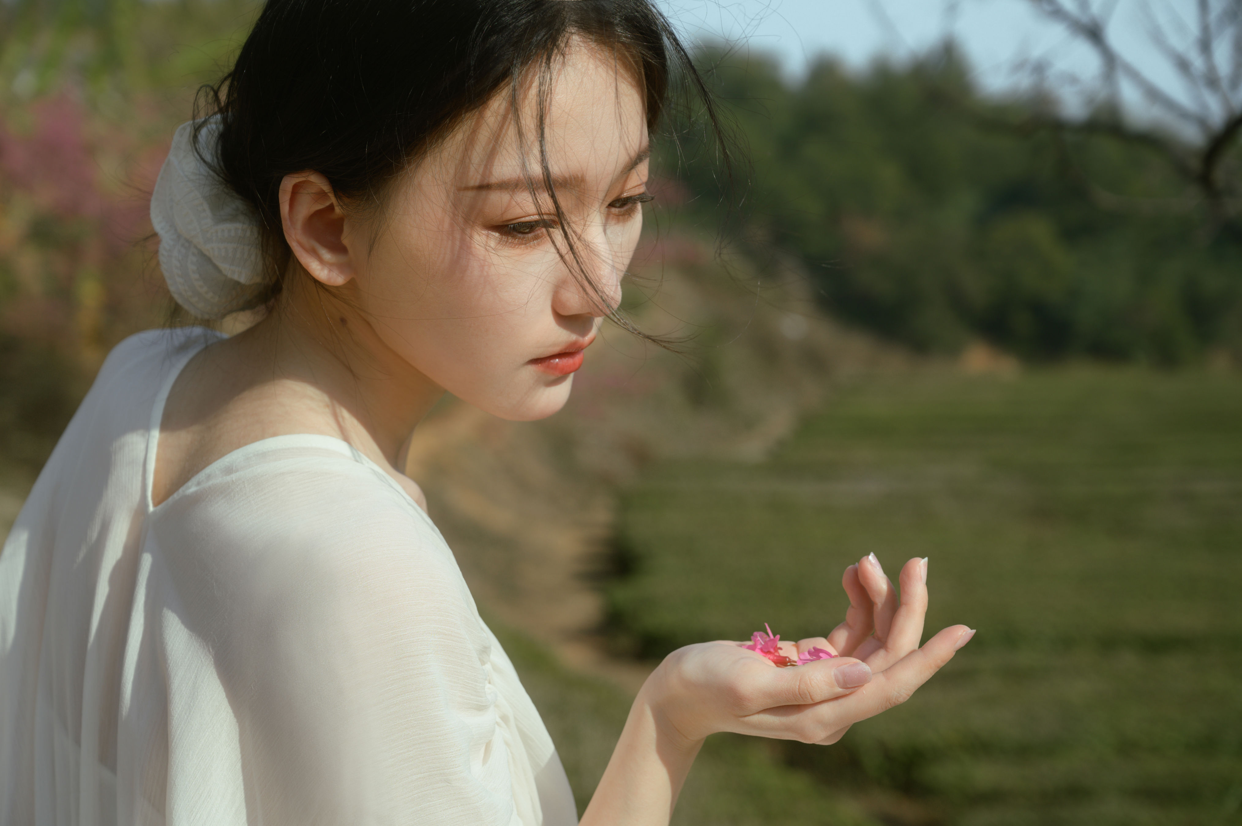 茶与樱