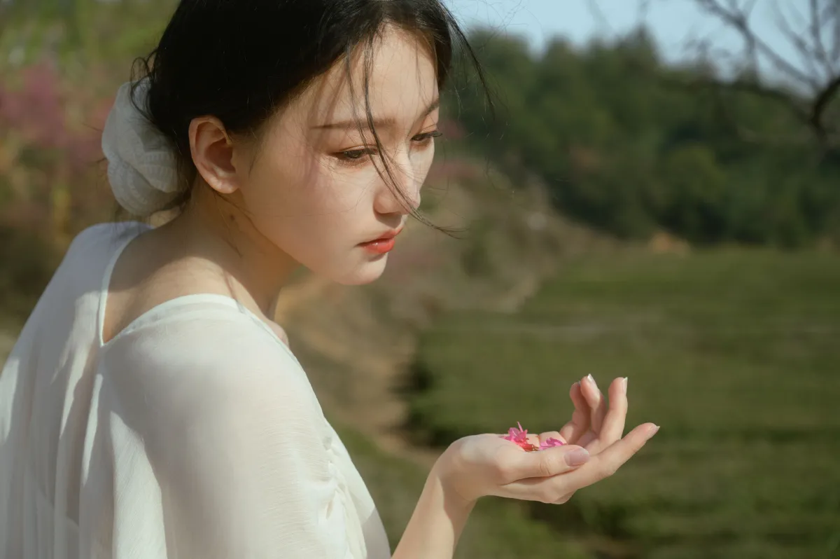 茶与樱