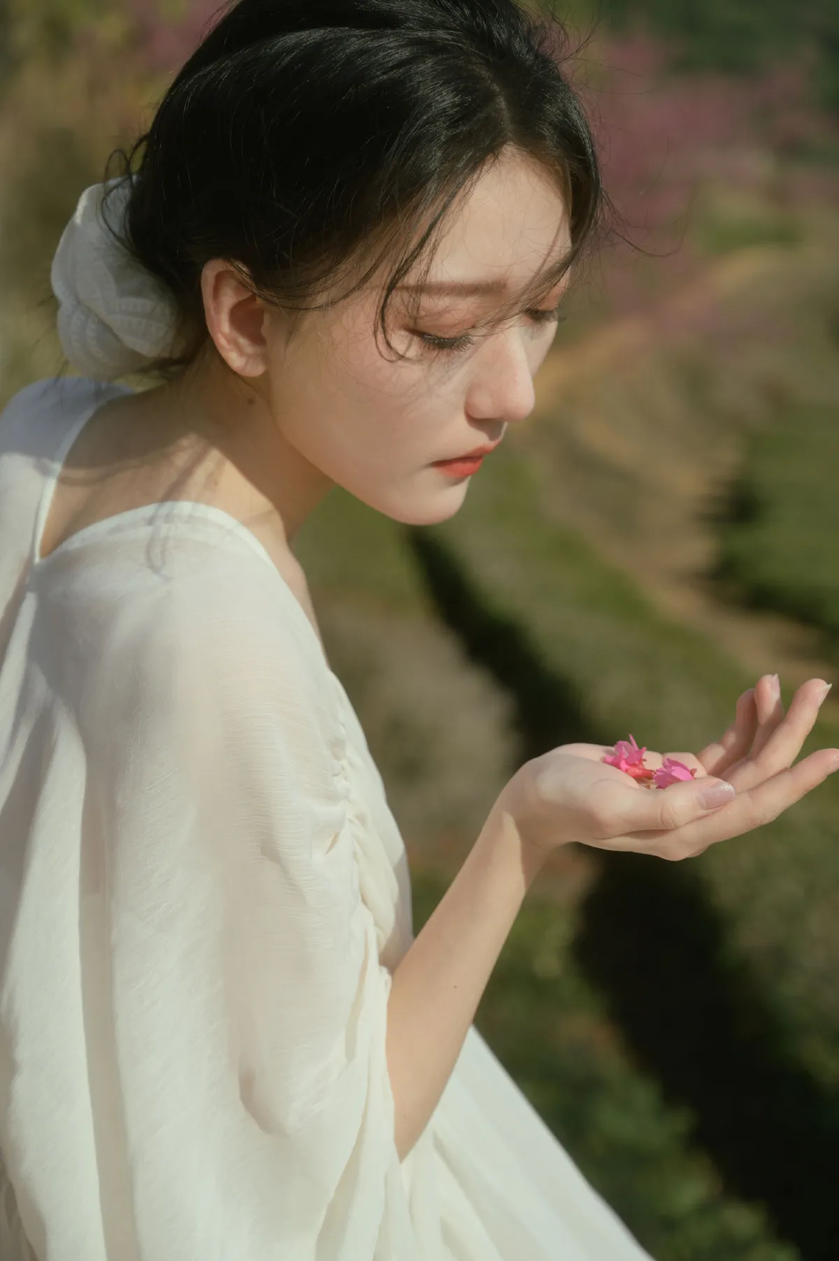 尤里CC_小月《茶与樱》美图作品图片2
