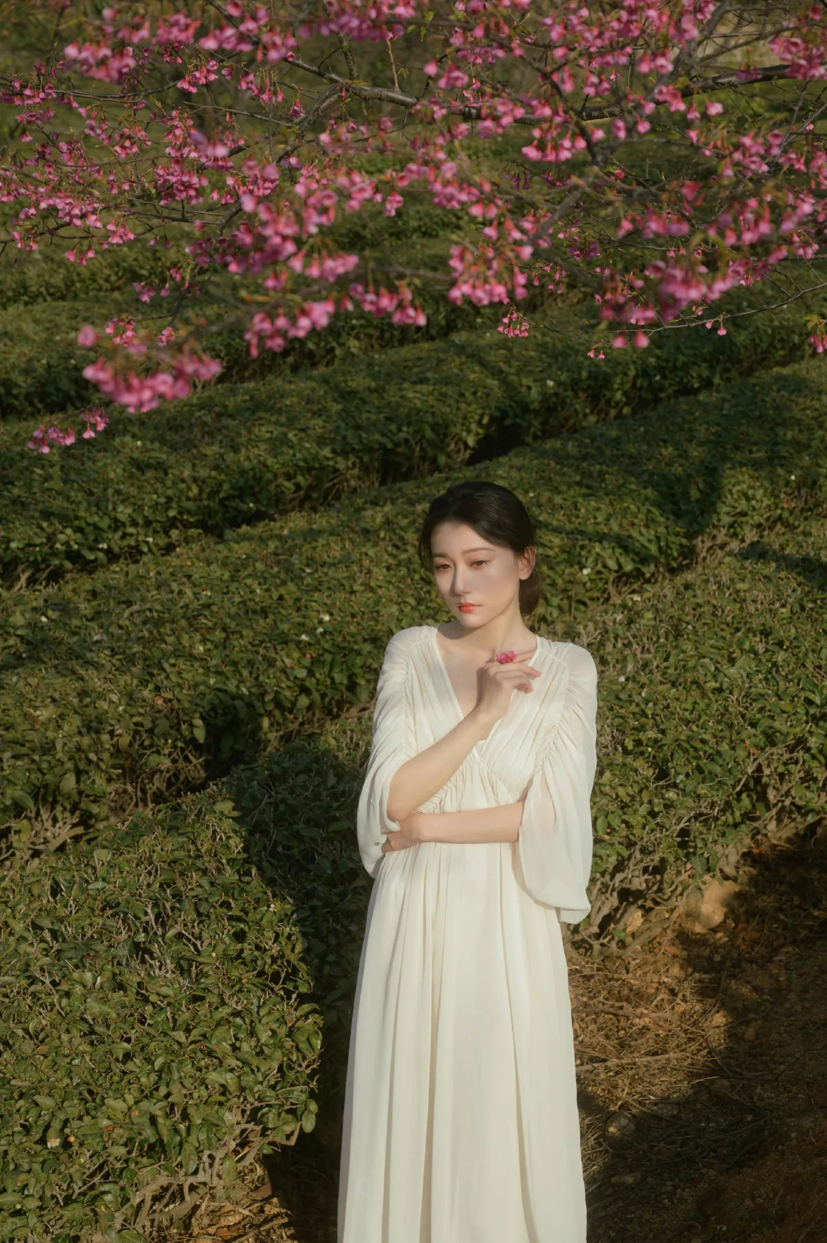 尤里CC_小月《茶与樱》美图作品图片4