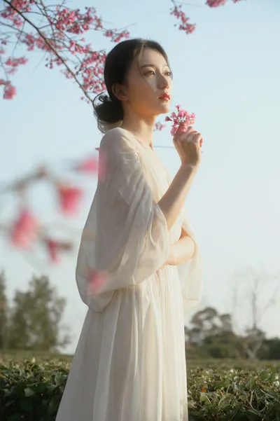 茶与樱