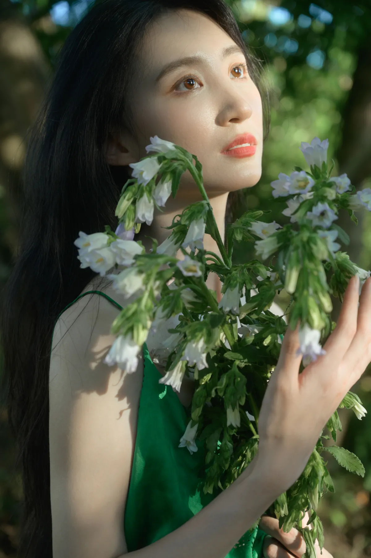 绿野仙踪