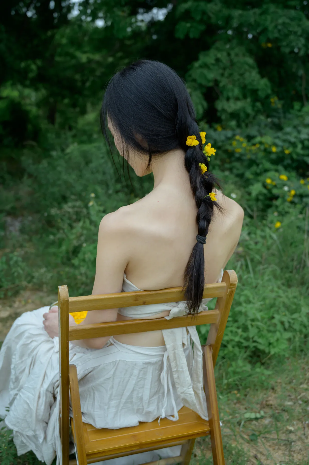 黄槐花开