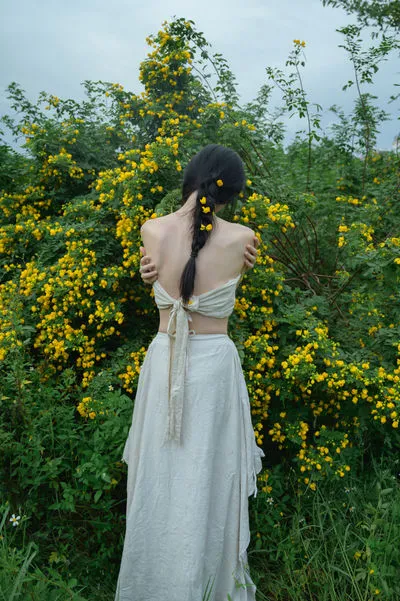 黄槐花开