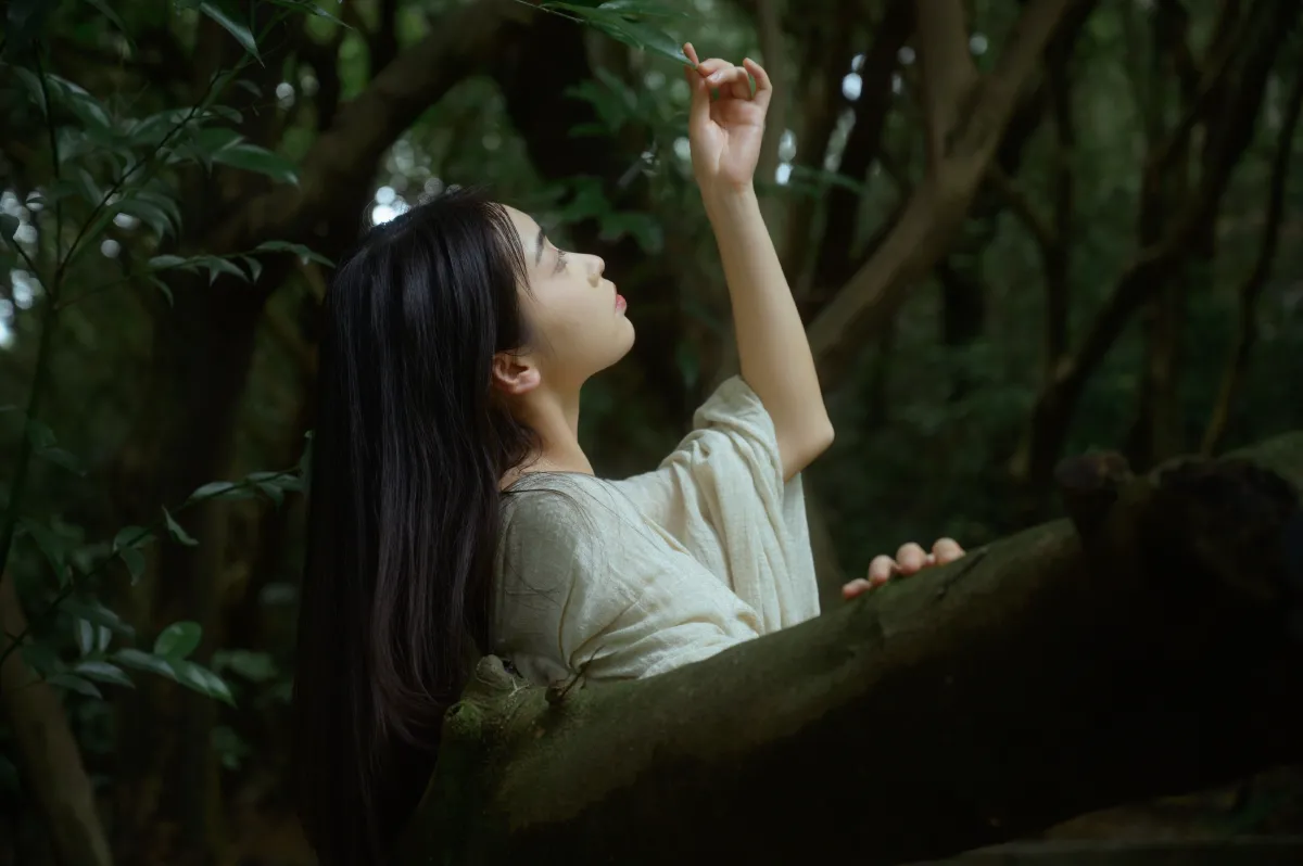 在林中4
