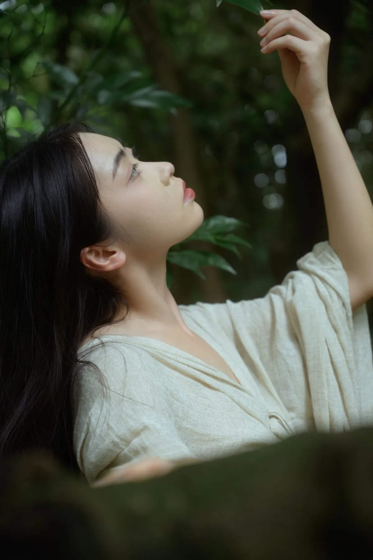 在林中