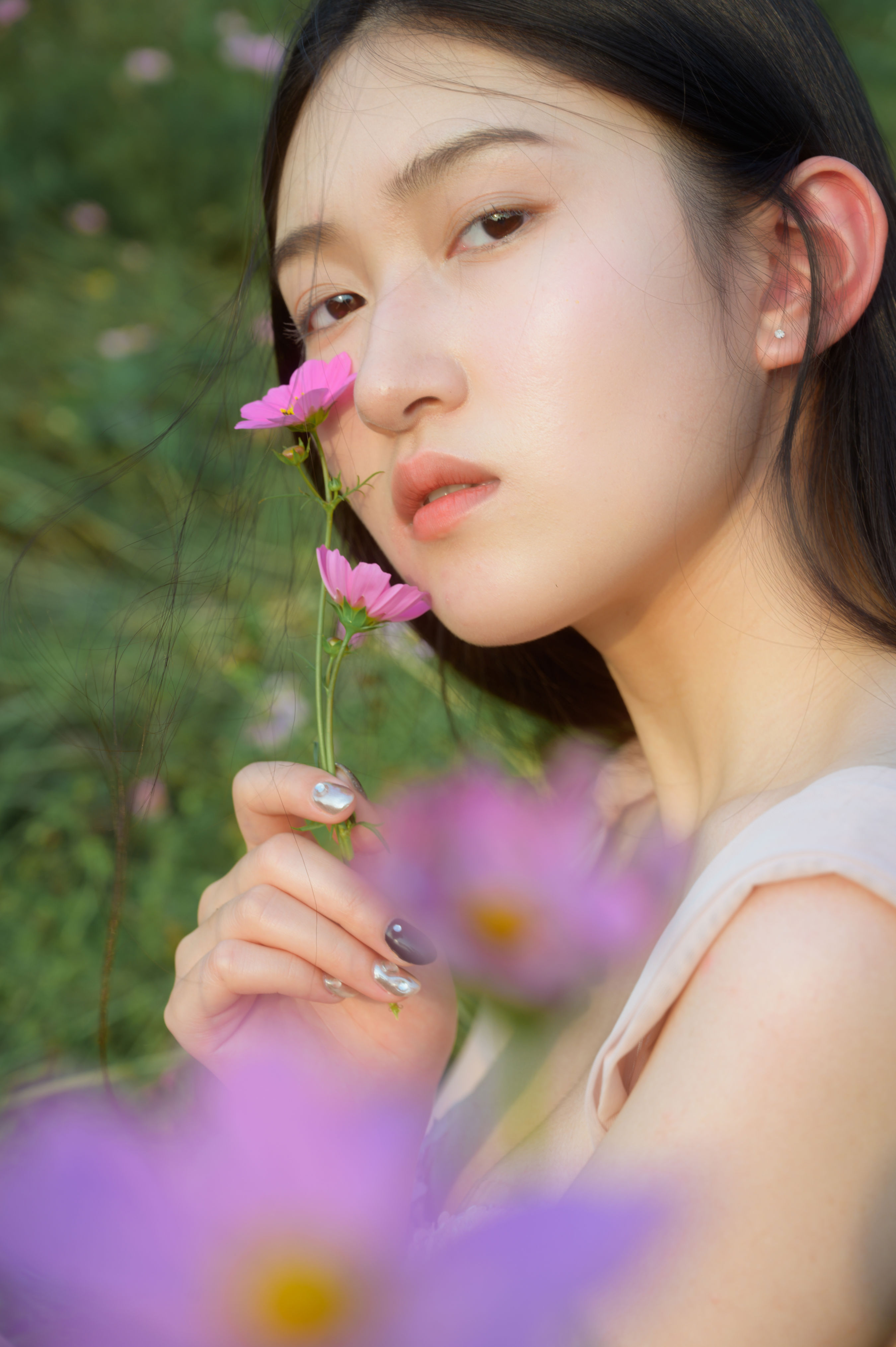 格桑花开1