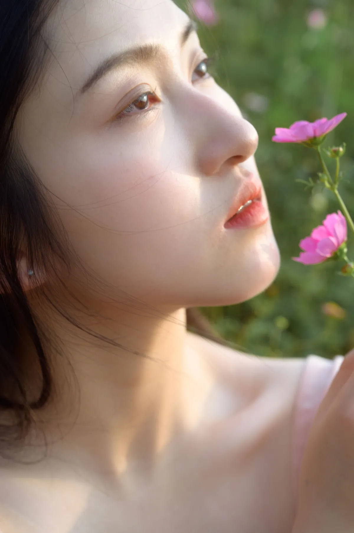 格桑花开2