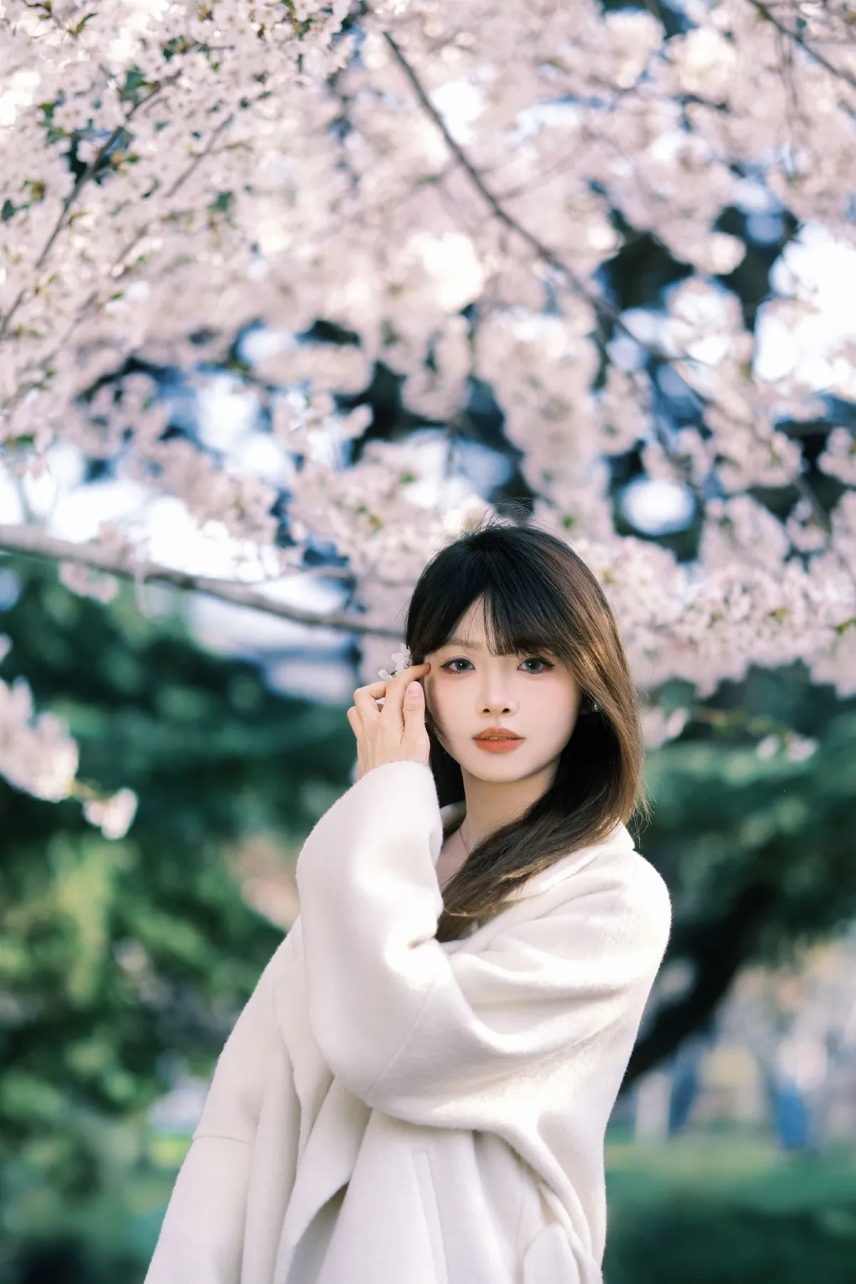 春樱