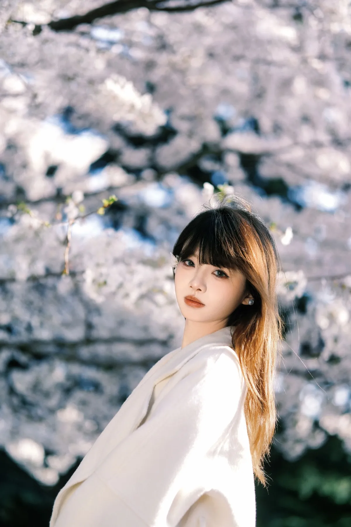 春樱