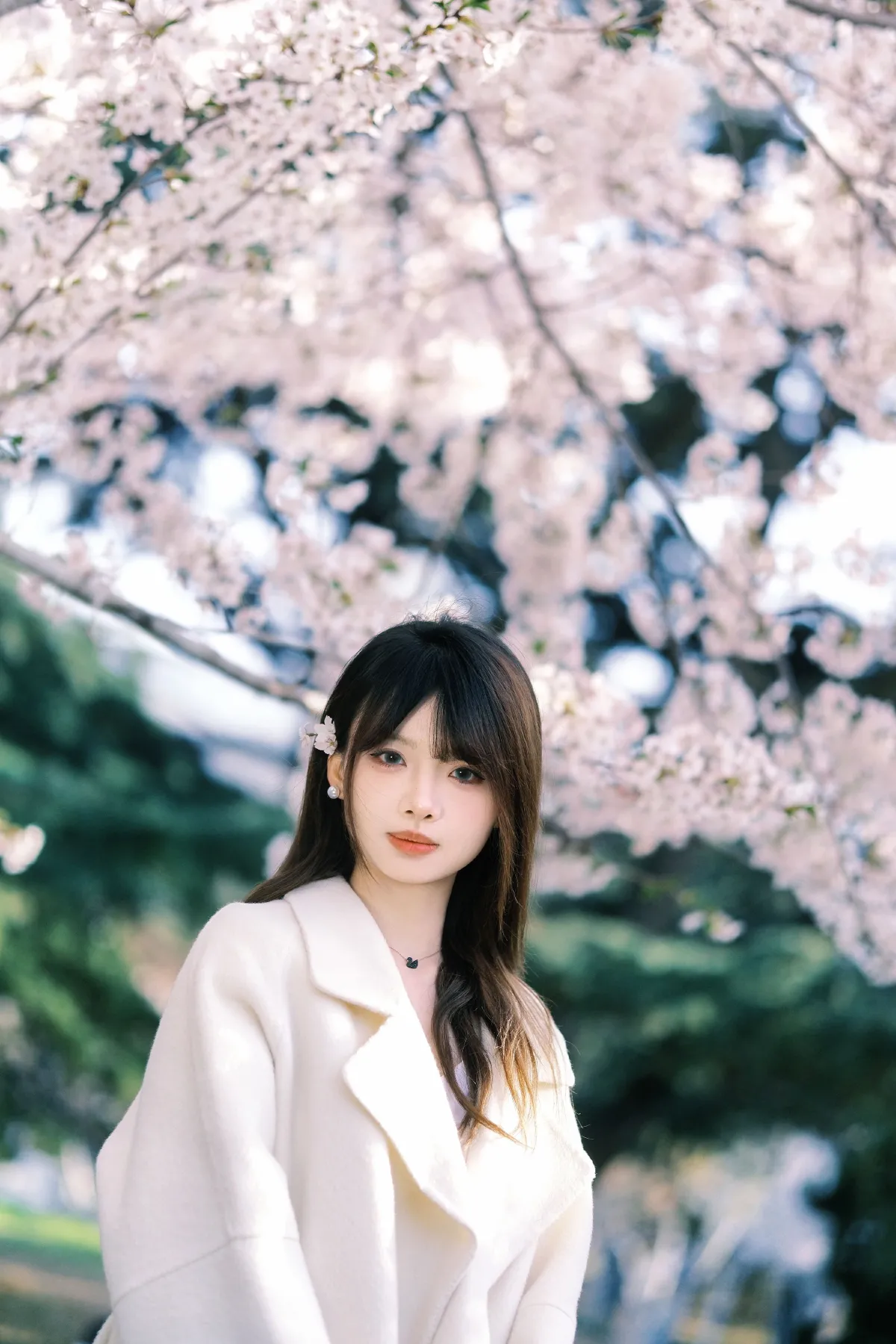 春樱